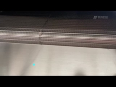 Непрерывная печь типа ремня 300 кг/ч Электрическое отопление Ореховое оборудование с воздушным охлаждением