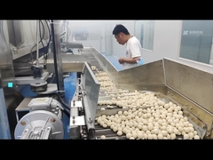 Электрический покрытый арахис покрытый печью Roastr 100KG/h качания арахиса