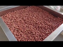 Управление ПЛК непрерывные орехи Печь непрерывные орехи пекарня Сушилка/пекарня