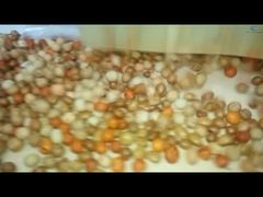 Линия производства покрытия и обжарки