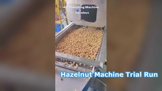 Видео пробного запуска машины для фундука уже здесь! Идеальный выбор для предприятий пищевой промышленности. #машина